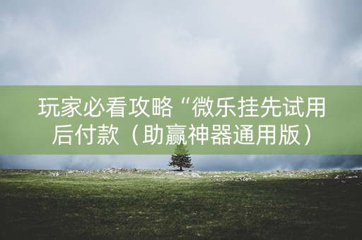 玩家必看攻略“微乐挂先试用后付款（助赢神器通用版）