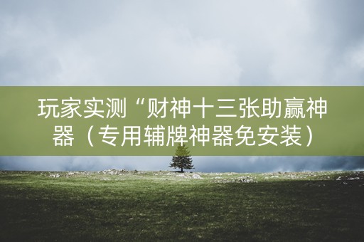 玩家实测“财神十三张助赢神器（专用辅牌神器免安装）