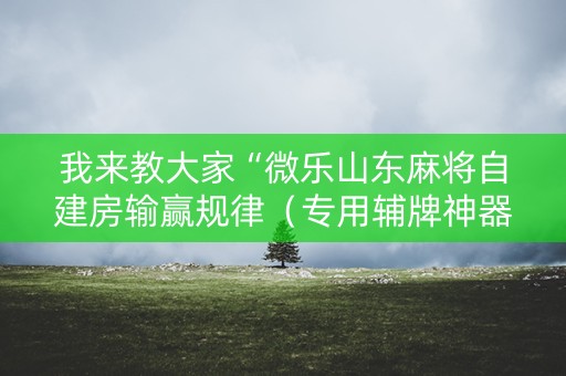 我来教大家“微乐山东麻将自建房输赢规律（专用辅牌神器免安装）