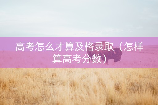 高考怎么才算及格录取（怎样算高考分数）