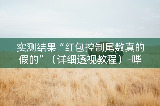 实测结果“红包控制尾数真的假的”（详细透视教程）-哔哩哔哩