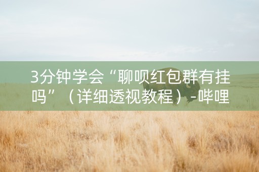 3分钟学会“聊呗红包群有挂吗”（详细透视教程）-哔哩哔哩