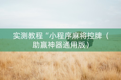 实测教程“小程序麻将控牌（助赢神器通用版）