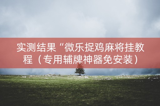 实测结果“微乐捉鸡麻将挂教程（专用辅牌神器免安装）