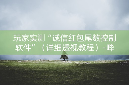 玩家实测“诚信红包尾数控制软件”（详细透视教程）-哔哩哔哩