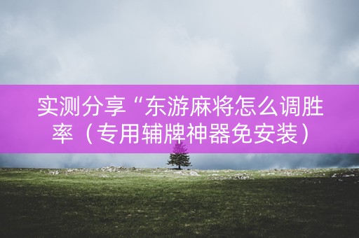 实测分享“东游麻将怎么调胜率（专用辅牌神器免安装）
