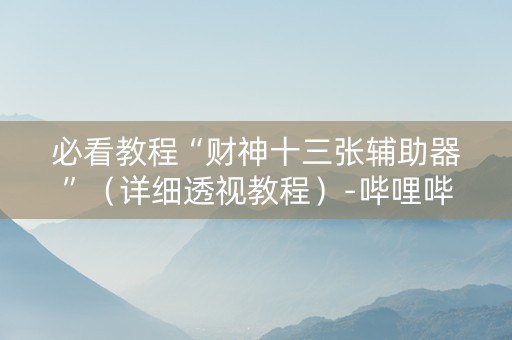必看教程“财神十三张辅助器”（详细透视教程）-哔哩哔哩