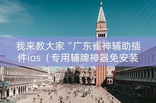 我来教大家“广东雀神辅助插件ios（专用辅牌神器免安装）