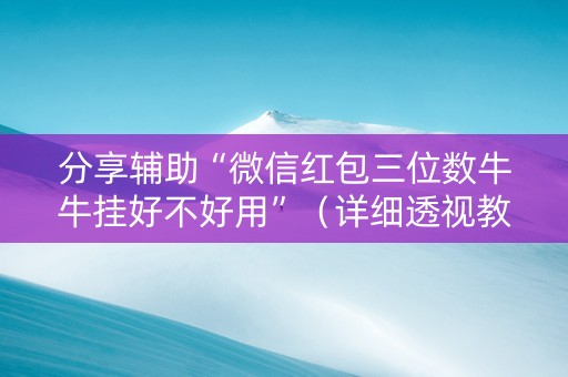 分享辅助“微信红包三位数牛牛挂好不好用”（详细透视教程）-哔哩哔哩