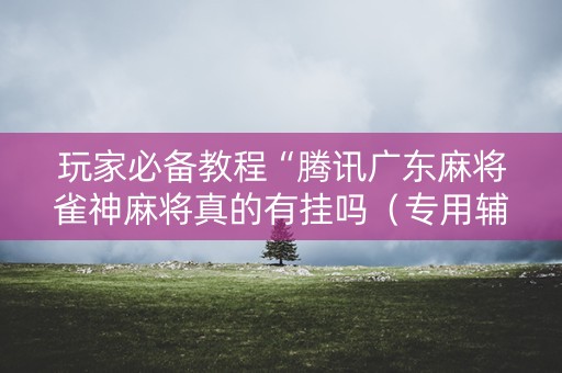 玩家必备教程“腾讯广东麻将雀神麻将真的有挂吗（专用辅牌神器免安装）