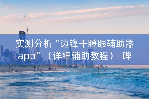 实测分析“边锋干瞪眼辅助器app”（详细辅助教程）-哔哩哔哩