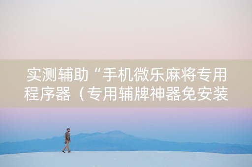 实测辅助“手机微乐麻将专用程序器（专用辅牌神器免安装）