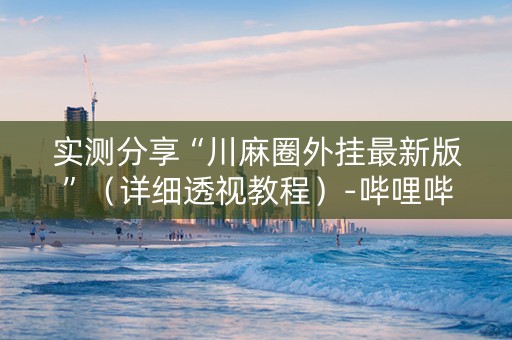 实测分享“川麻圈外挂最新版”（详细透视教程）-哔哩哔哩