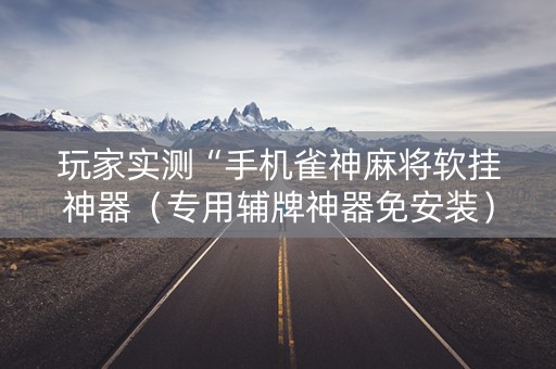 玩家实测“手机雀神麻将软挂神器（专用辅牌神器免安装）