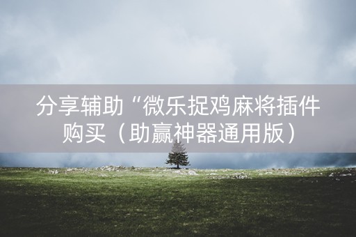 分享辅助“微乐捉鸡麻将插件购买（助赢神器通用版）