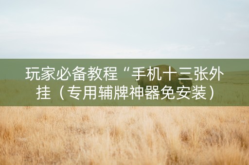 玩家必备教程“手机十三张外挂（专用辅牌神器免安装）