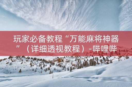玩家必备教程“万能麻将神器”（详细透视教程）-哔哩哔哩