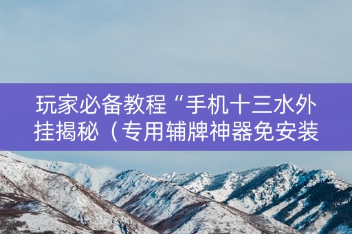 玩家必备教程“手机十三水外挂揭秘（专用辅牌神器免安装）