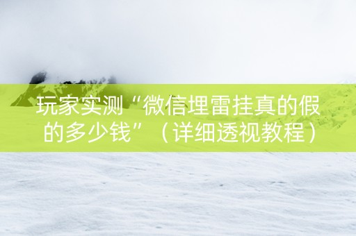 玩家实测“微信埋雷挂真的假的多少钱”（详细透视教程）-哔哩哔哩