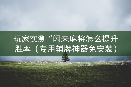 玩家实测“闲来麻将怎么提升胜率（专用辅牌神器免安装）