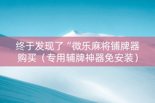 终于发现了“微乐麻将铺牌器购买（专用辅牌神器免安装）
