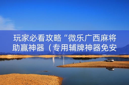 玩家必看攻略“微乐广西麻将助赢神器（专用辅牌神器免安装）
