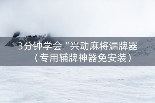 3分钟学会“兴动麻将漏牌器（专用辅牌神器免安装）
