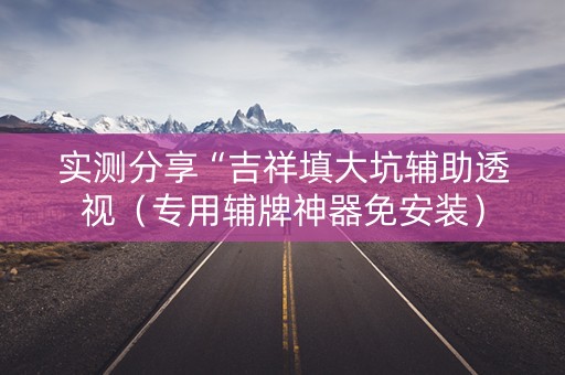 实测分享“吉祥填大坑辅助透视（专用辅牌神器免安装）