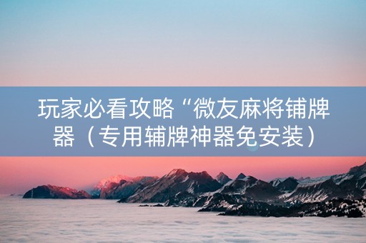 玩家必看攻略“微友麻将铺牌器（专用辅牌神器免安装）