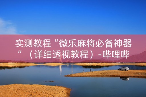 实测教程“微乐麻将必备神器”（详细透视教程）-哔哩哔哩
