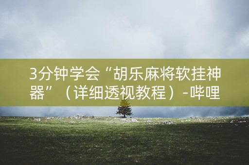 3分钟学会“胡乐麻将软挂神器”（详细透视教程）-哔哩哔哩