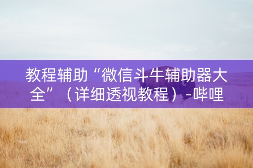 教程辅助“微信斗牛辅助器大全”（详细透视教程）-哔哩哔哩