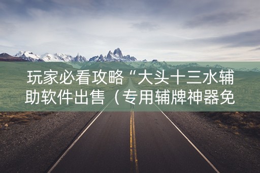 玩家必看攻略“大头十三水辅助软件出售（专用辅牌神器免安装）