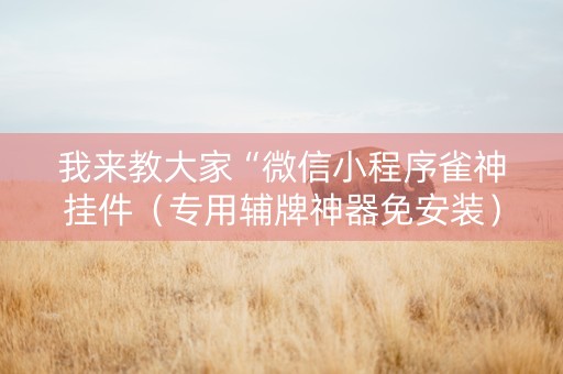 我来教大家“微信小程序雀神挂件（专用辅牌神器免安装）