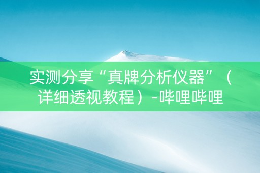 实测分享“真牌分析仪器”（详细透视教程）-哔哩哔哩