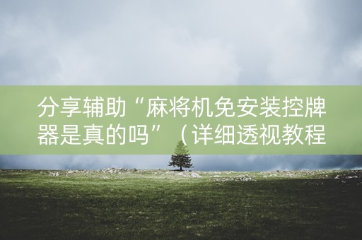 分享辅助“麻将机免安装控牌器是真的吗”（详细透视教程）-哔哩哔哩