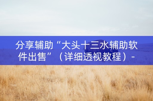分享辅助“大头十三水辅助软件出售”（详细透视教程）-哔哩哔哩