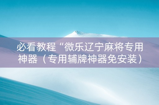 必看教程“微乐辽宁麻将专用神器（专用辅牌神器免安装）
