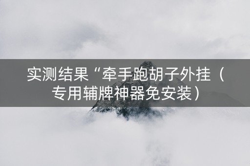 实测结果“牵手跑胡子外挂（专用辅牌神器免安装）