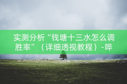 实测分析“钱塘十三水怎么调胜率”（详细透视教程）-哔哩哔哩
