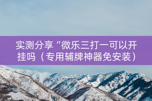 实测分享“微乐三打一可以开挂吗（专用辅牌神器免安装）