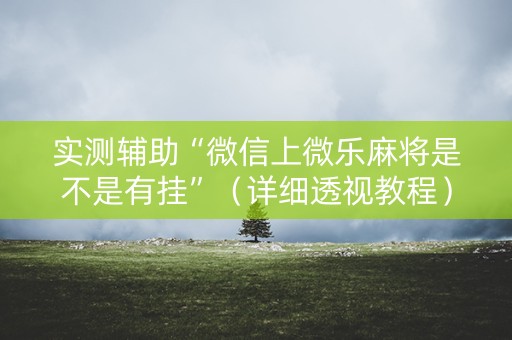 实测辅助“微信上微乐麻将是不是有挂”（详细透视教程）-哔哩哔哩