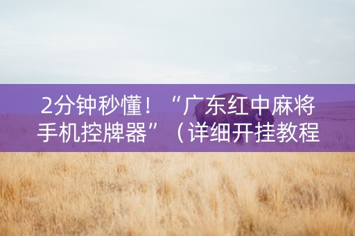 2分钟秒懂！“广东红中麻将手机控牌器”（详细开挂教程）-哔哩哔哩