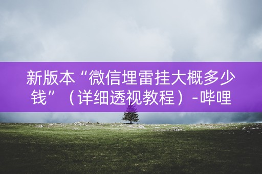 新版本“微信埋雷挂大概多少钱”（详细透视教程）-哔哩哔哩