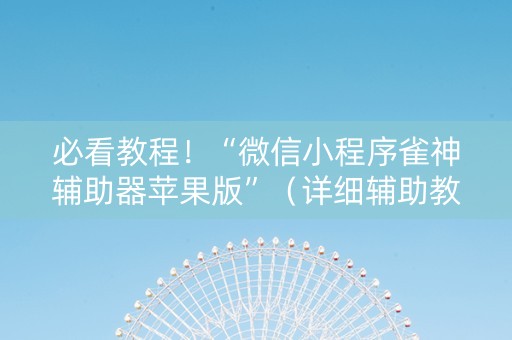 必看教程！“微信小程序雀神辅助器苹果版”（详细辅助教程）-哔哩哔哩