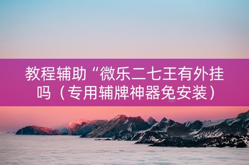 教程辅助“微乐二七王有外挂吗（专用辅牌神器免安装）
