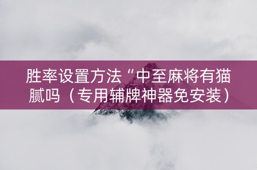 胜率设置方法“中至麻将有猫腻吗（专用辅牌神器免安装）