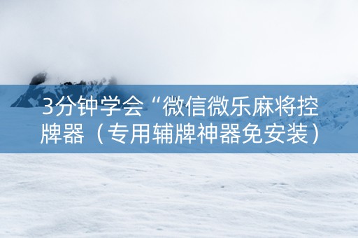 3分钟学会“微信微乐麻将控牌器（专用辅牌神器免安装）