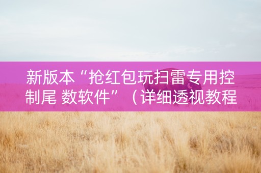 新版本“抢红包玩扫雷专用控制尾 数软件”（详细透视教程）-哔哩哔哩