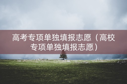 高考专项单独填报志愿（高校专项单独填报志愿）